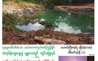Myanmar Green Affairs (Volume 6, Issue 3)