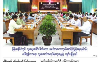 Myanmar Green Affairs (Volume 6, Issue 4)